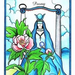 Meet your Posher, Lynn